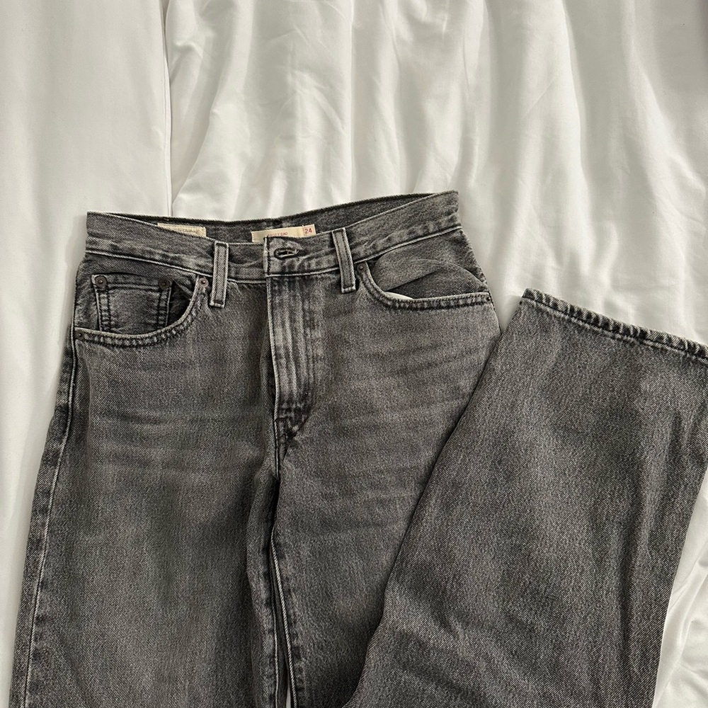 Levi’s Baggy Dad Jeans (Chill at Home, 24x30)